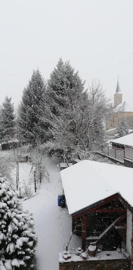 Arpad Haz Guest house *